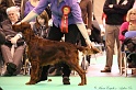 Crufts2011_2 158